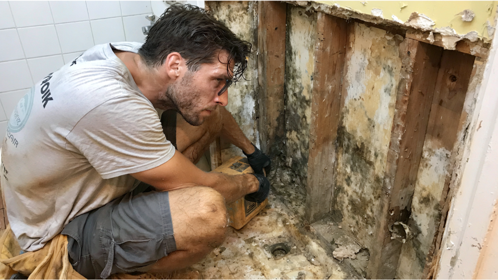What Happens If Mold or Water Damage Is Found?