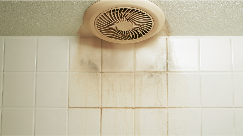 Mistake #4 — Undersizing the Exhaust Fan and Living With Poor Ventilation